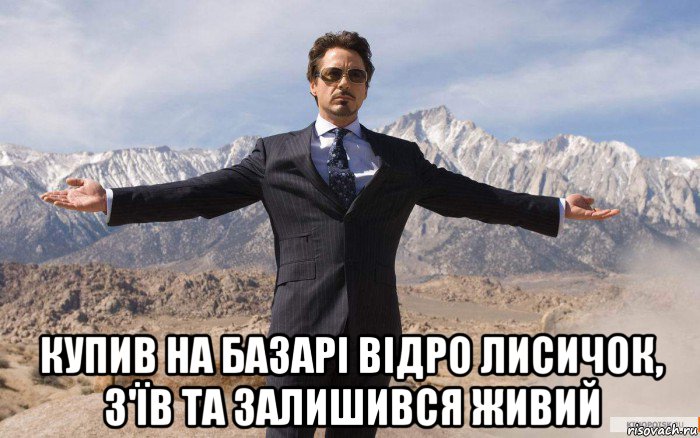  купив на базарі відро лисичок, з'їв та залишився живий, Мем железный человек