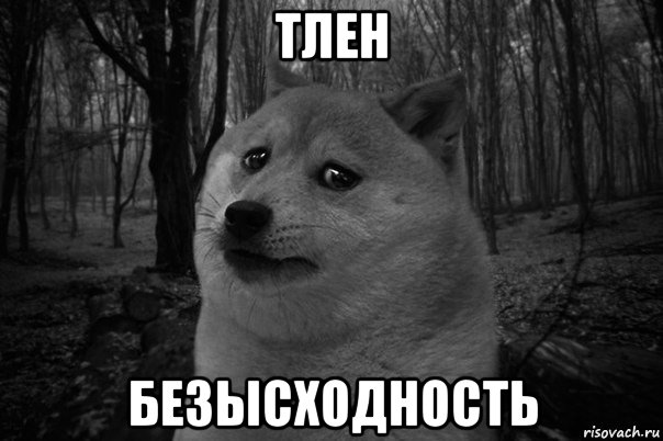 тлен безысходность, Мем жизнь тлен