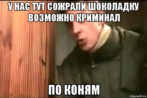 у нас тут сожрали шоколадку возможно криминал по коням