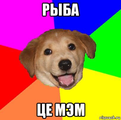 рыба це мэм, Мем Advice Dog