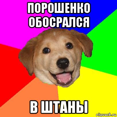 порошенко обосрался в штаны, Мем Advice Dog