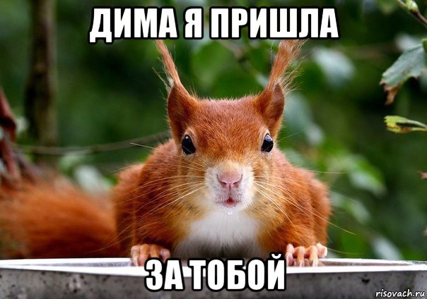 дима я пришла за тобой