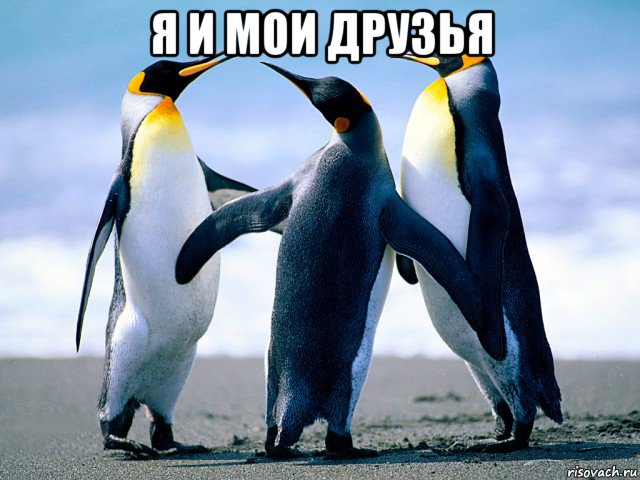 я и мои друзья 