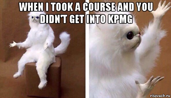 when i took a course and you didn't get into kpmg , Мем Чучело кота