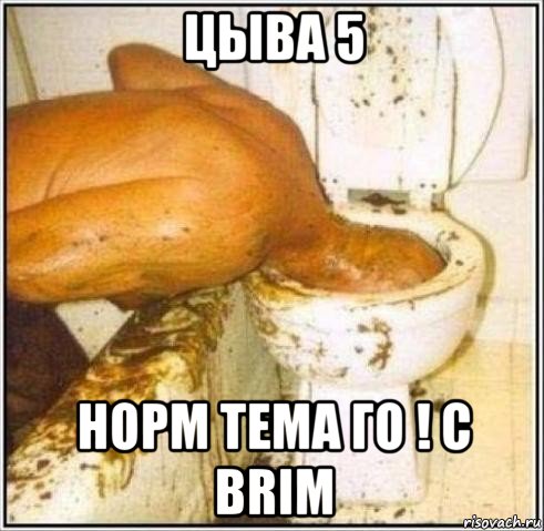 цыва 5 норм тема го ! c brim, Мем Дайвер