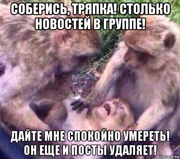 соберись, тряпка! столько новостей в группе! дайте мне спокойно умереть! он еще и посты удаляет!