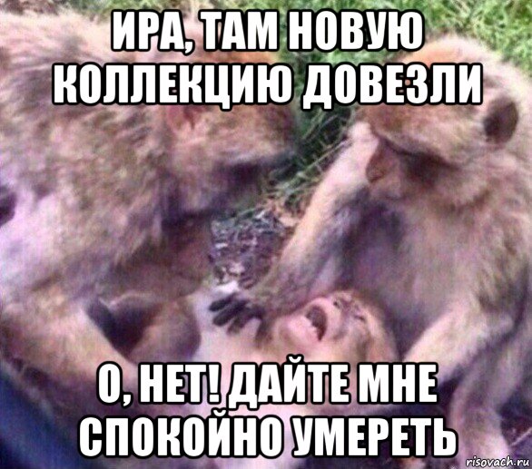 ира, там новую коллекцию довезли о, нет! дайте мне спокойно умереть
