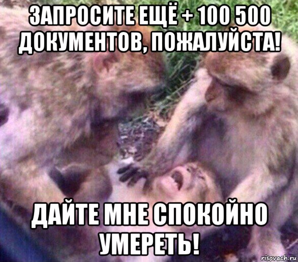 запросите ещё + 100 500 документов, пожалуйста! дайте мне спокойно умереть!