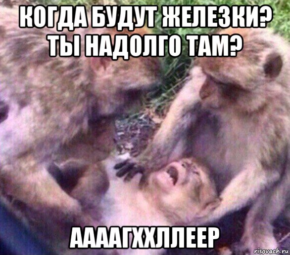 когда будут железки? ты надолго там? аааагххллеер