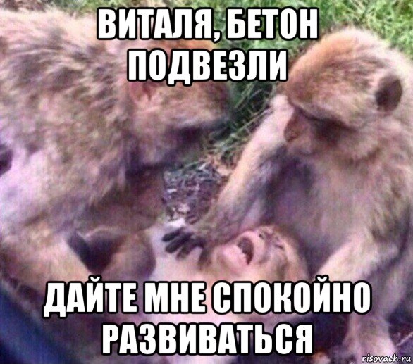 виталя, бетон подвезли дайте мне спокойно развиваться