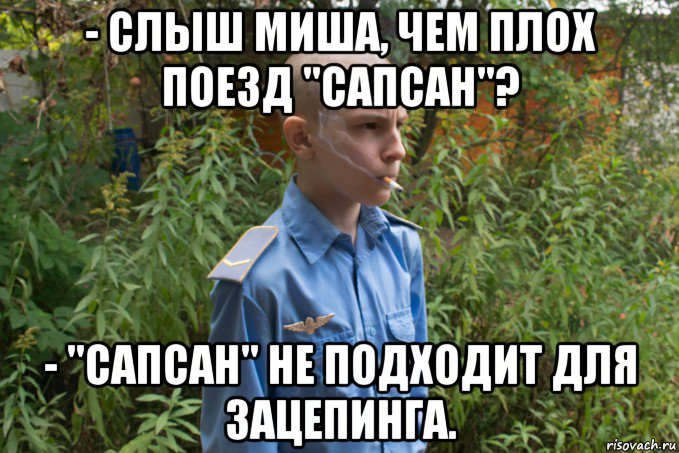 - слыш миша, чем плох поезд "сапсан"? - "сапсан" не подходит для зацепинга., Мем Додик