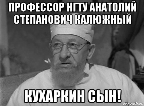 профессор нгту анатолий степанович калюжный кухаркин сын!