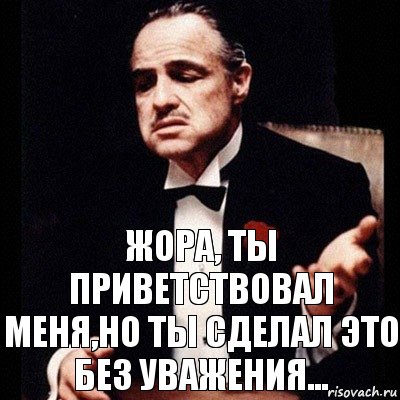 Жора, ты приветствовал меня,но ты сделал это без уважения...