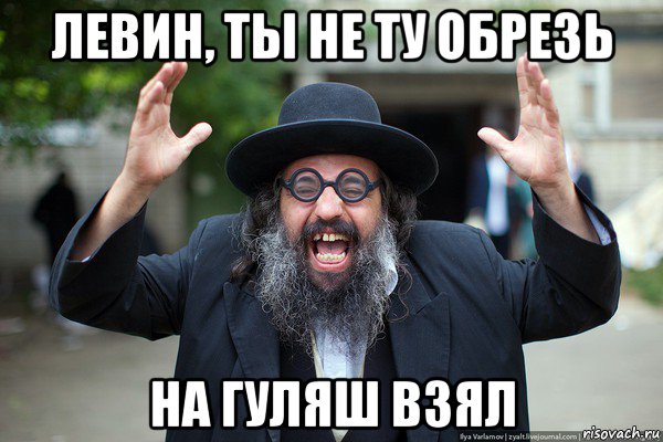 левин, ты не ту обрезь на гуляш взял