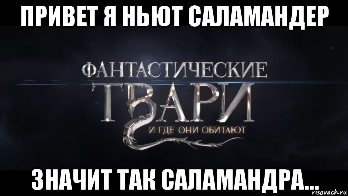 привет я ньют саламандер значит так саламандра...