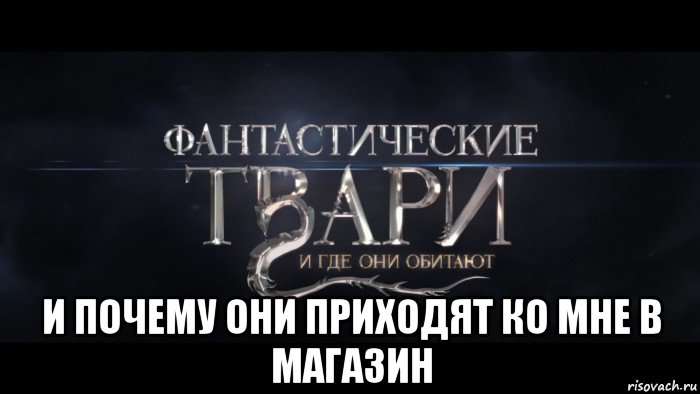  и почему они приходят ко мне в магазин