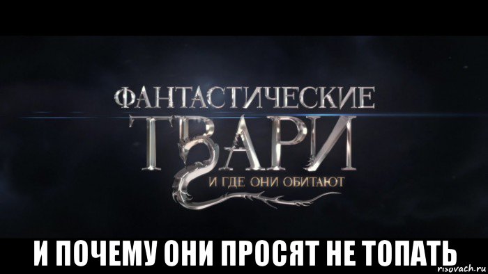  и почему они просят не топать