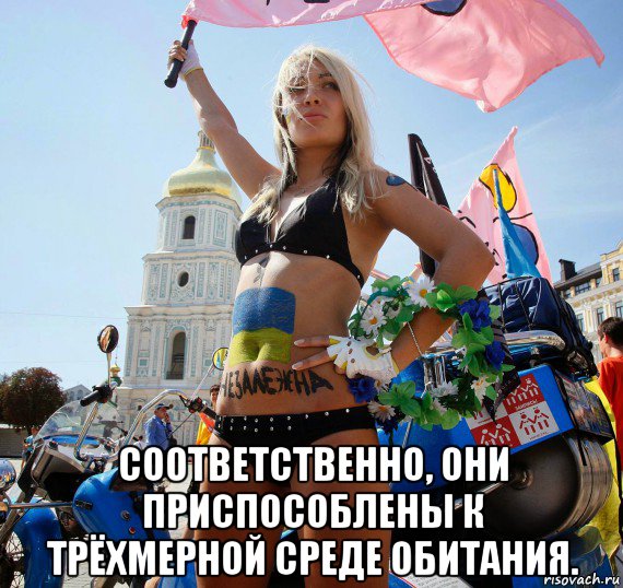  соответственно, они приспособлены к трёхмерной среде обитания.