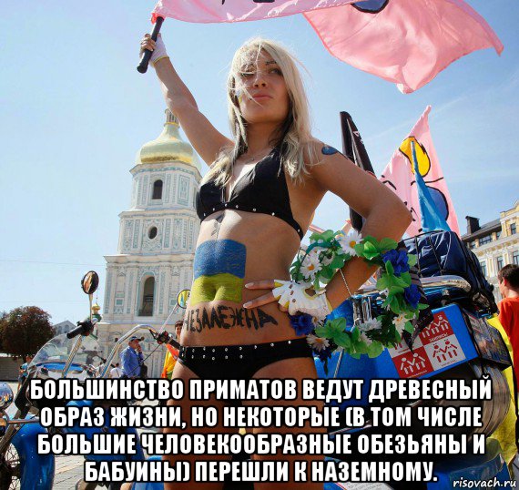  большинство приматов ведут древесный образ жизни, но некоторые (в том числе большие человекообразные обезьяны и бабуины) перешли к наземному.