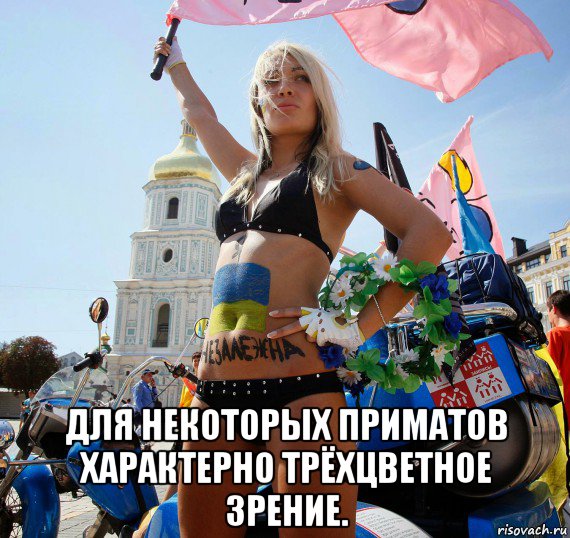  для некоторых приматов характерно трёхцветное зрение.