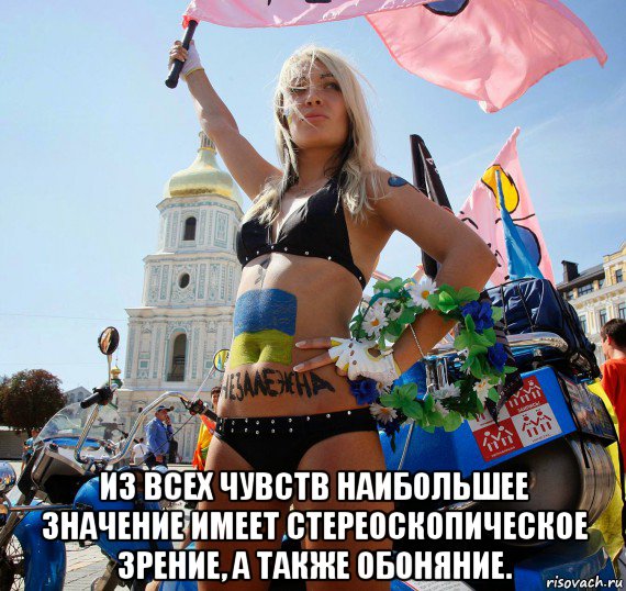  из всех чувств наибольшее значение имеет стереоскопическое зрение, а также обоняние.