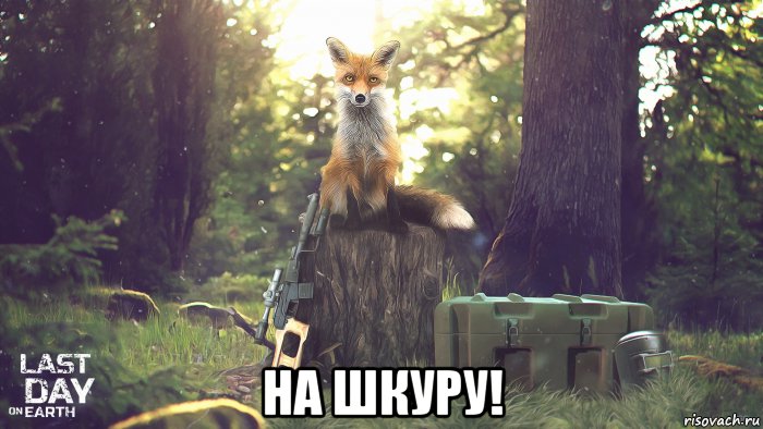  на шкуру!