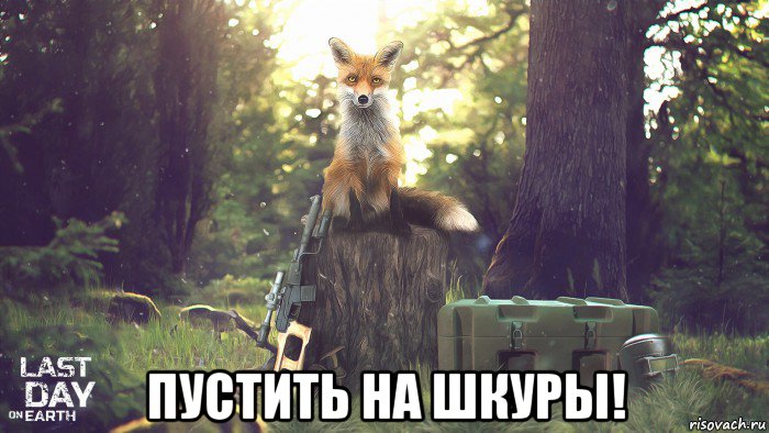  пустить на шкуры!