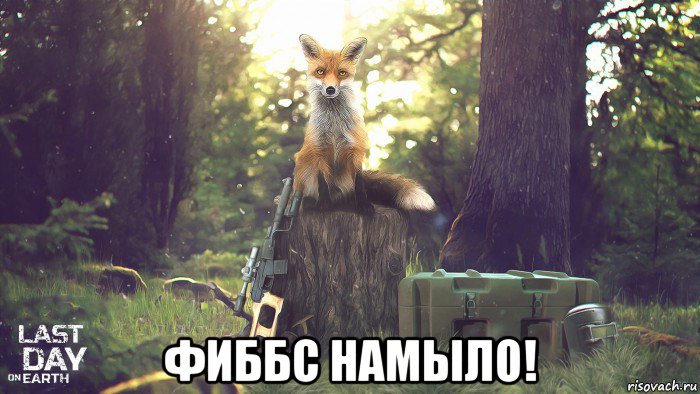  фиббс намыло!