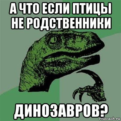 а что если птицы не родственники динозавров?, Мем Филосораптор