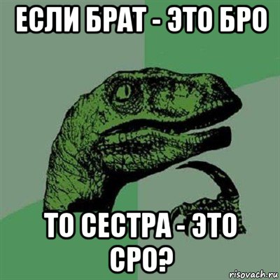 если брат - это бро то сестра - это сро?, Мем Филосораптор