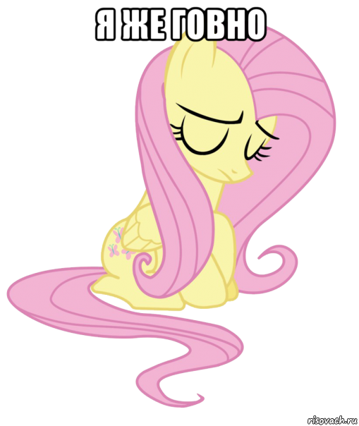 я же говно , Мем Fluttershy