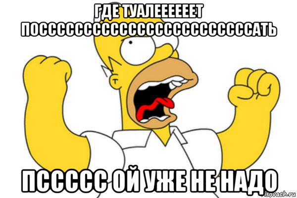 где туалеееееет поссссссссссссссссссссссссать пссссс ой уже не надо, Мем Разъяренный Гомер