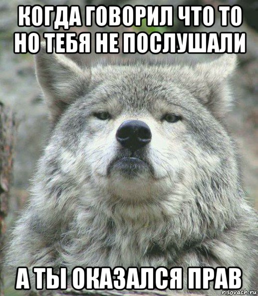 когда говорил что то но тебя не послушали а ты оказался прав, Мем    Гордый волк