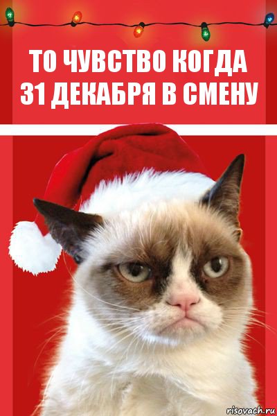 То чувство когда 31 декабря в смену, Комикс  Grumpy cat new year