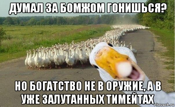 думал за бомжом гонишься? но богатство не в оружие, а в уже залутанных тимейтах, Мем гуси