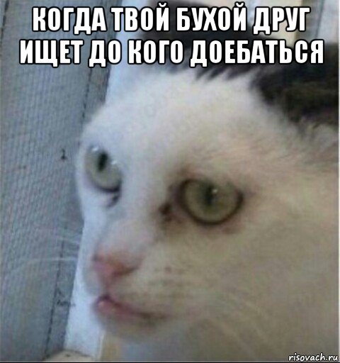 когда твой бухой друг ищет до кого доебаться , Мем Идешь мстить