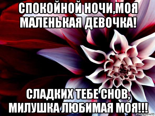 спокойной ночи,моя маленькая девочка! сладких тебе снов, милушка любимая моя!!!