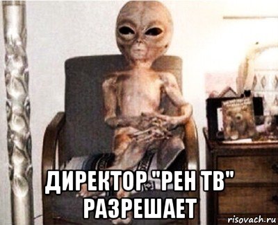  директор "рен тв" разрешает