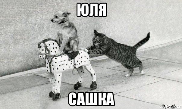 юля сашка
