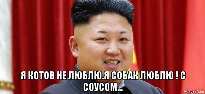  я котов не люблю.я собак люблю ! с соусом...