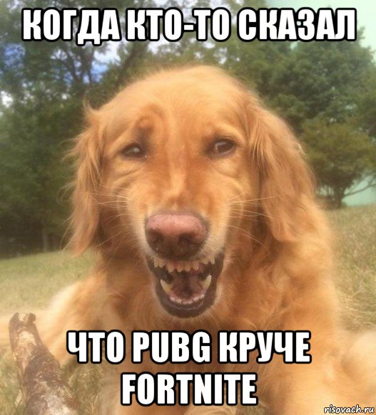 когда кто-то сказал что pubg круче fortnite, Мем   Когда увидел что соседского кота отнесли в чебуречную