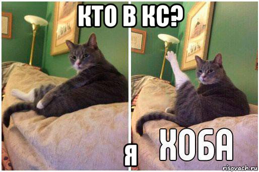 кто в кс? я, Комикс Кот Хоба