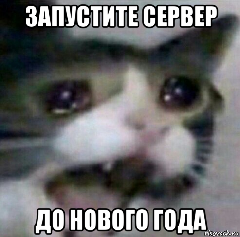 запустите сервер до нового года