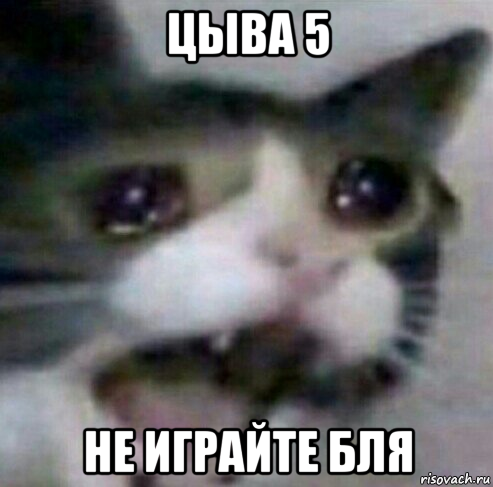 цыва 5 не играйте бля