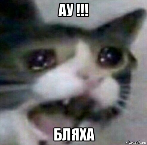 ау !!! бляха
