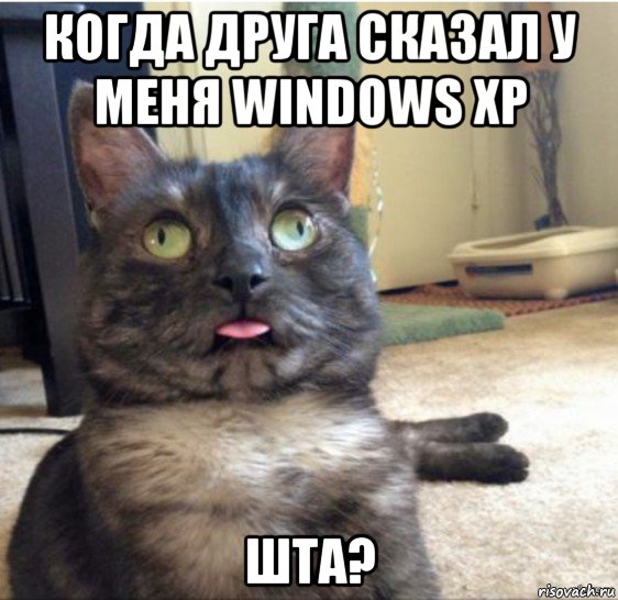когда друга сказал у меня windows xp шта?, Мем   Кот завис