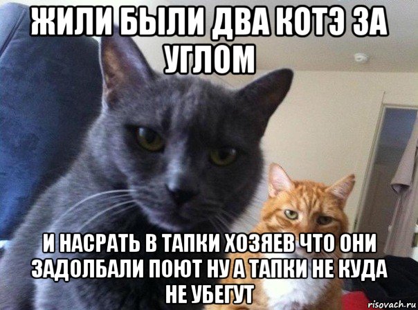 жили были два котэ за углом и насрать в тапки хозяев что они задолбали поют ну а тапки не куда не убегут