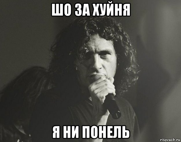 шо за хуйня я ни понель, Мем Кузьма Скрябін
