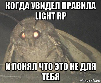 когда увидел правила light rp и понял что это не для тебя, Мем Матылёк