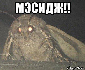 мэсидж!! , Мем Матылёк